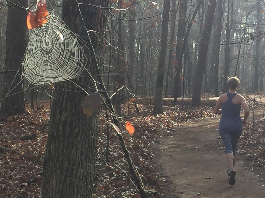 Mary Catherine on the trail at Reynolds Nature Preserve with spider web in foreground