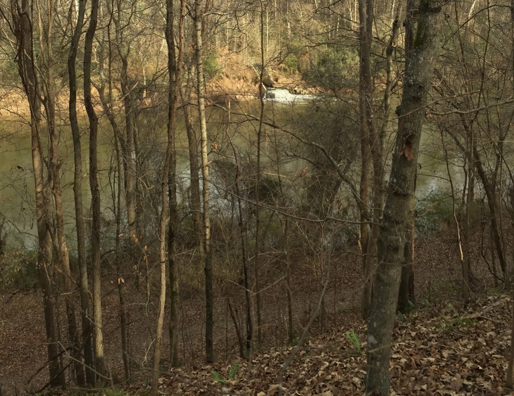 View of the Camp Creek culvert inflow to the Chattahoochee from atop the Chattahoochee Loop ridge